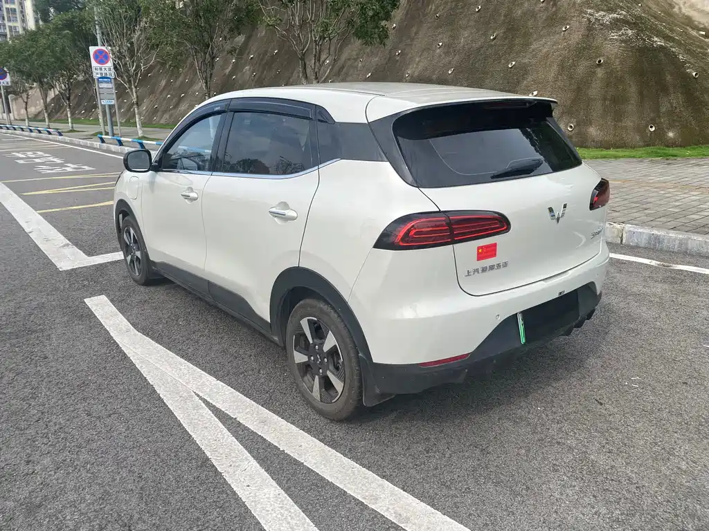 Wuling BinguoPLUS PLUS 2024 330km мест