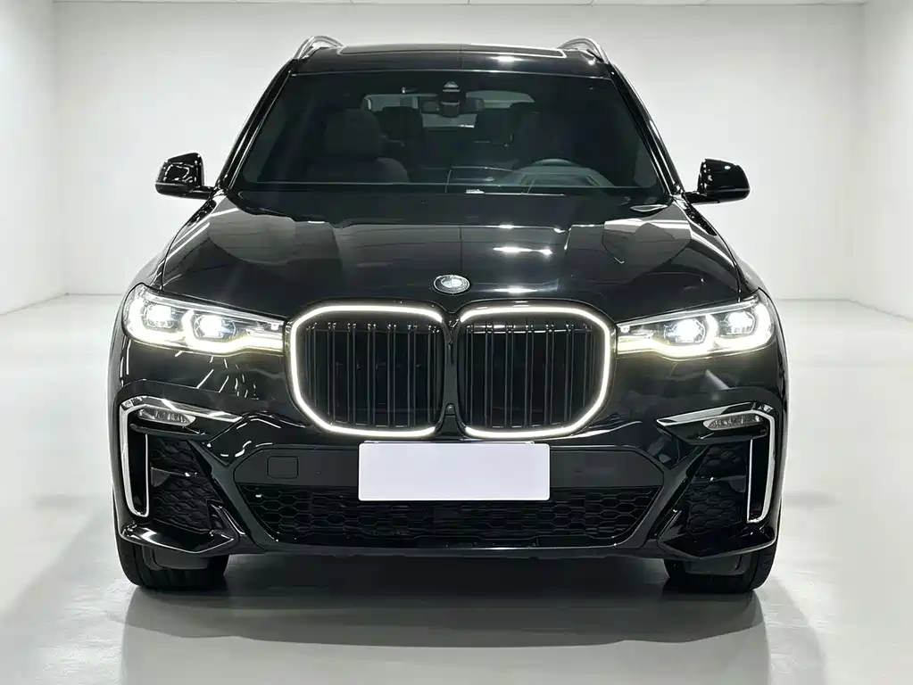 BMW X7 — миниатюра 2