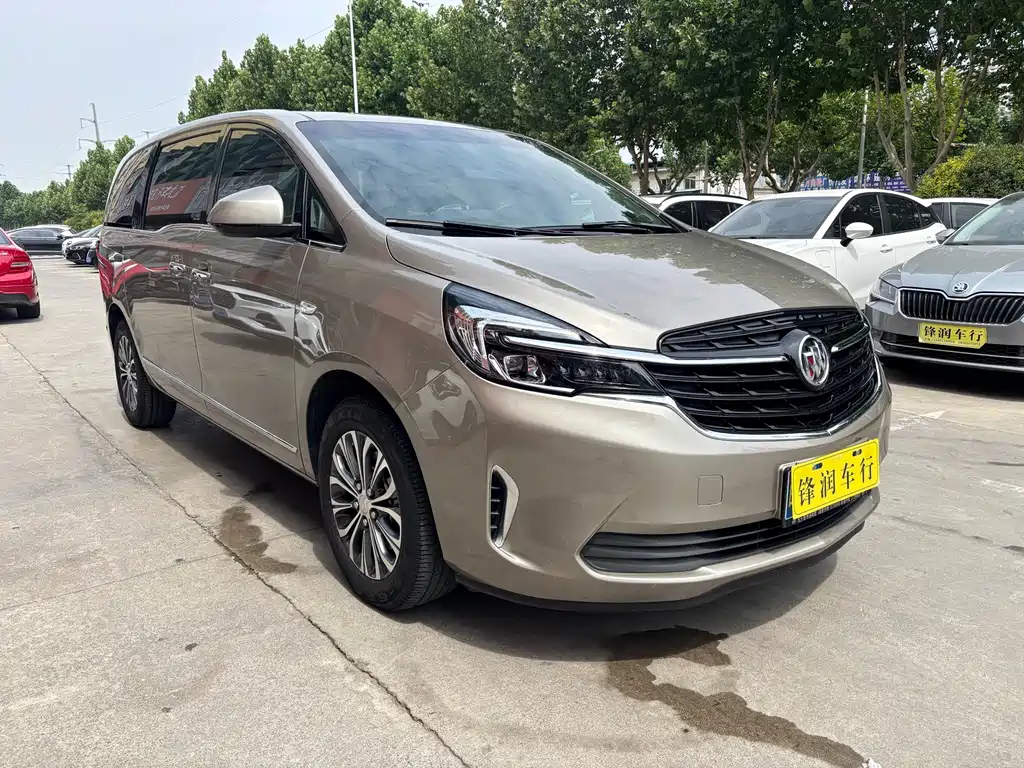 Buick GL8 — миниатюра 3