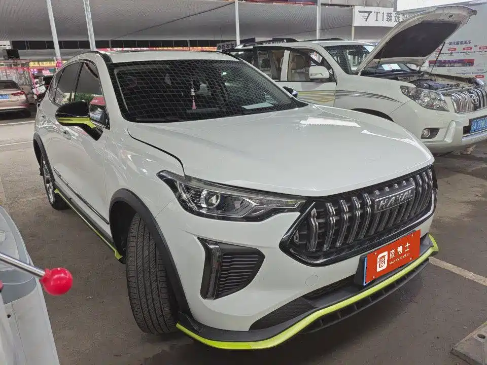 Haval Chitu Dynamic Enjoy Edition 1.5T Brass Rabbit, фото 2