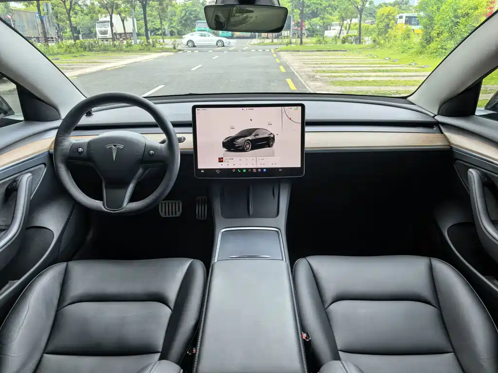 Tesla Model 3 — миниатюра 6