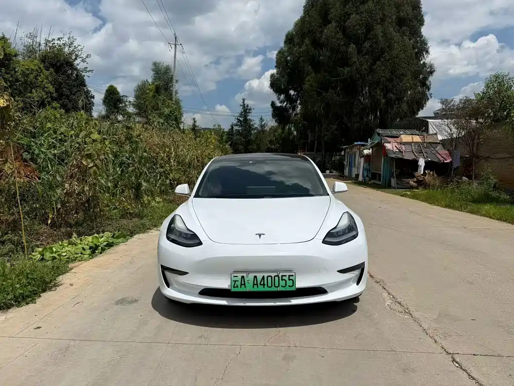 Tesla Model 3 — миниатюра 2
