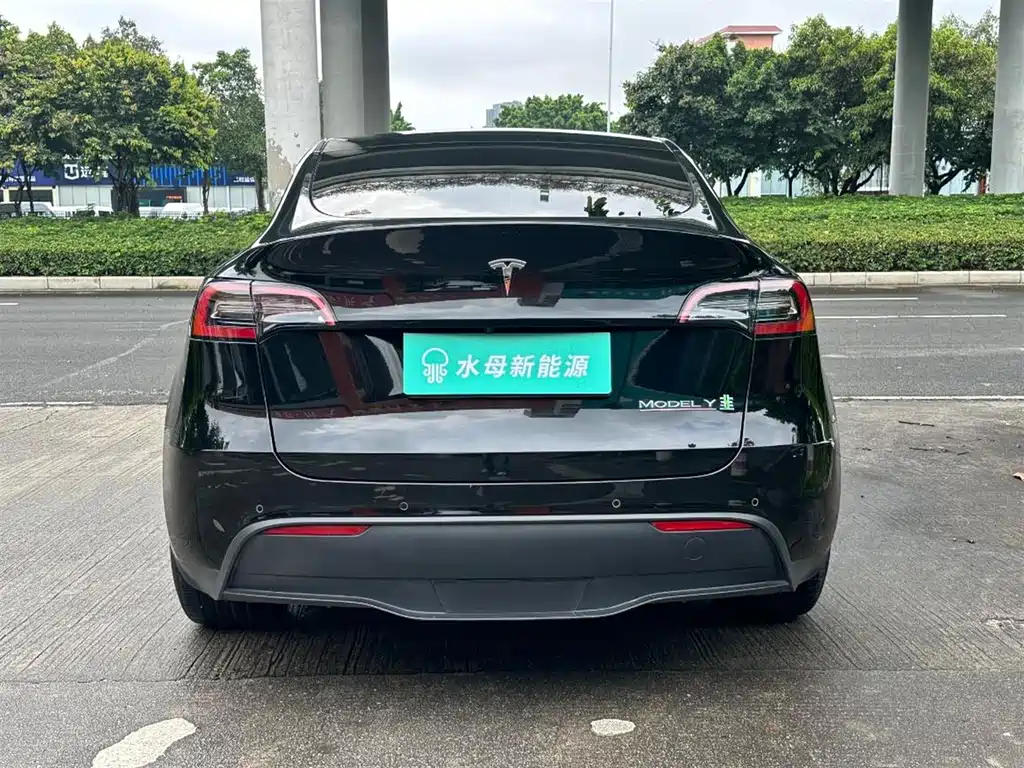 Tesla Model Y 2021 Performance