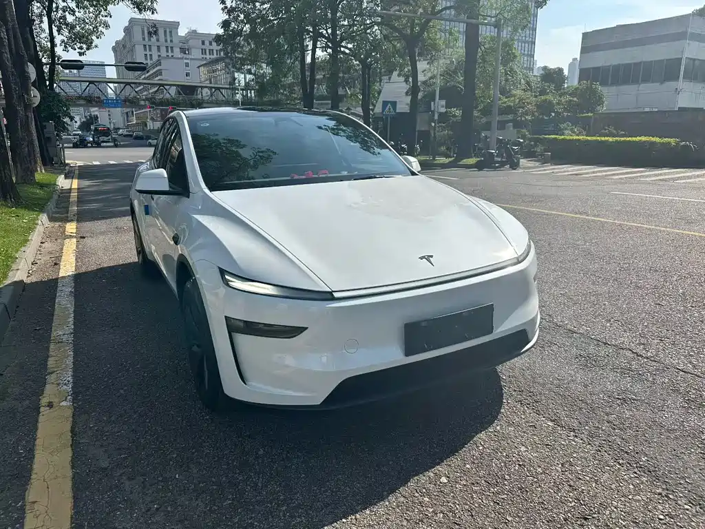 Tesla Model Y — миниатюра 3