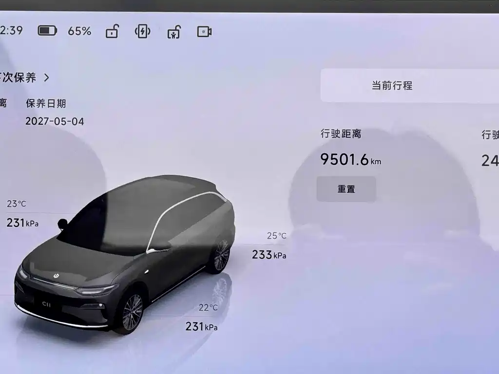 Leapmotor Leapmotor C11 — миниатюра 6