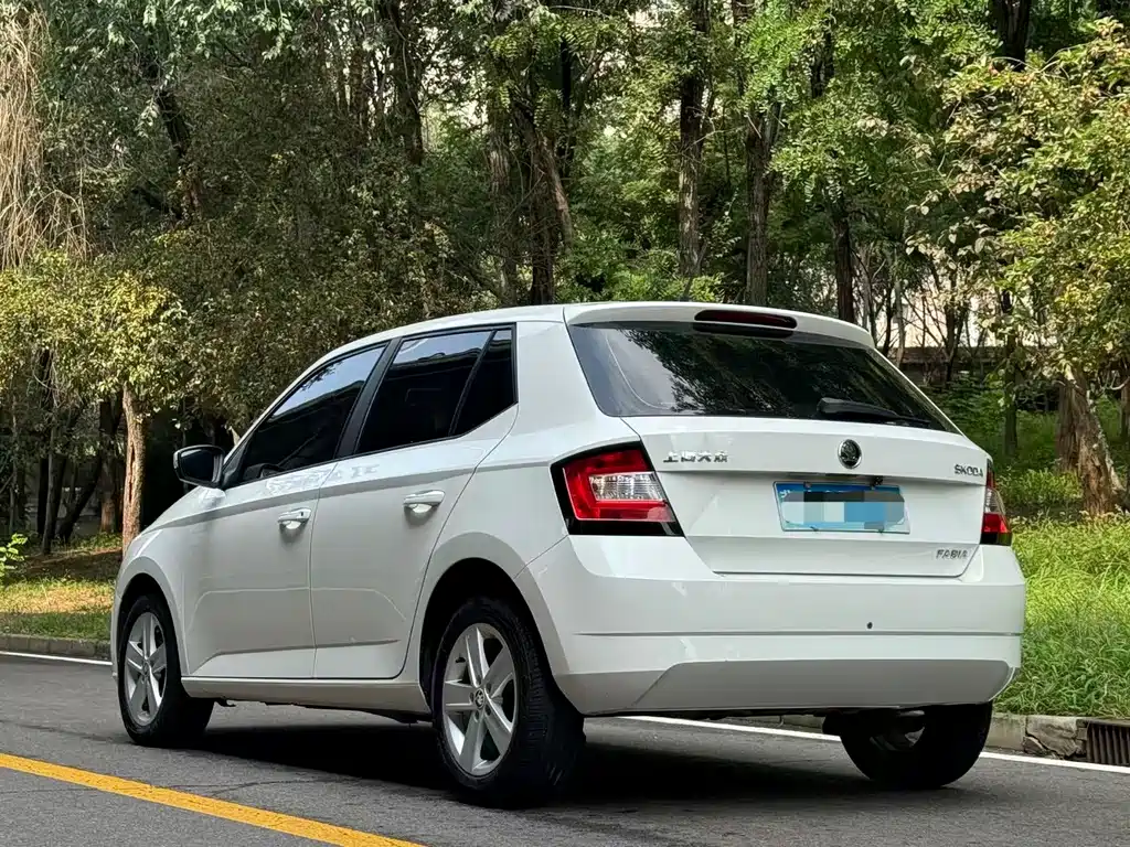 Skoda Fabia — миниатюра 11