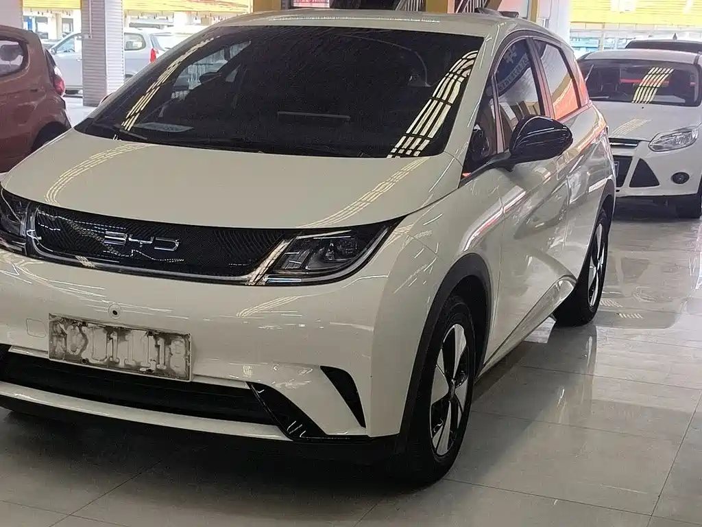 Byd Dolphin 2024