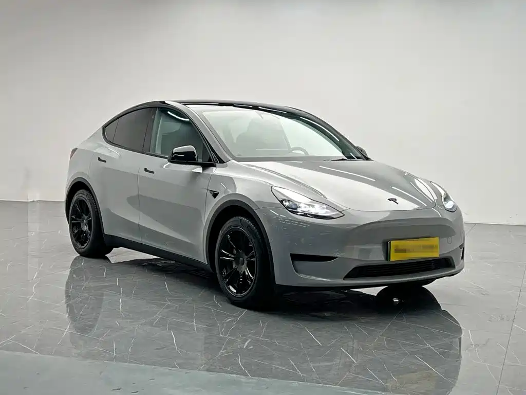 Tesla Model Y — миниатюра 8