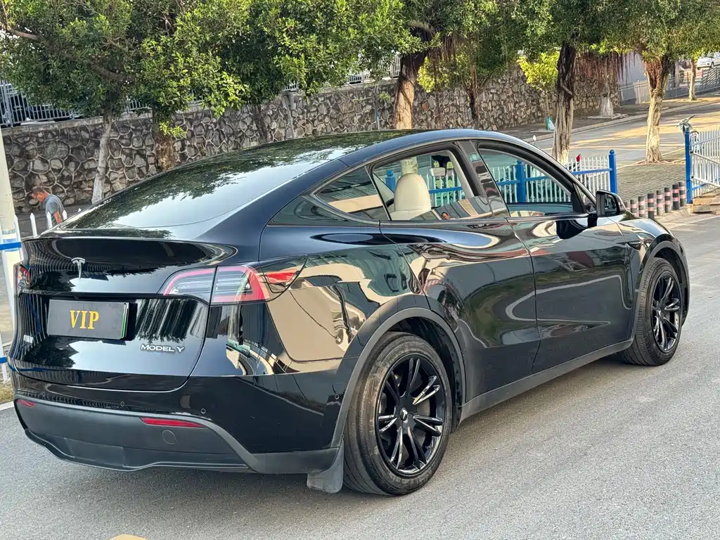 Tesla Model Y — миниатюра 6