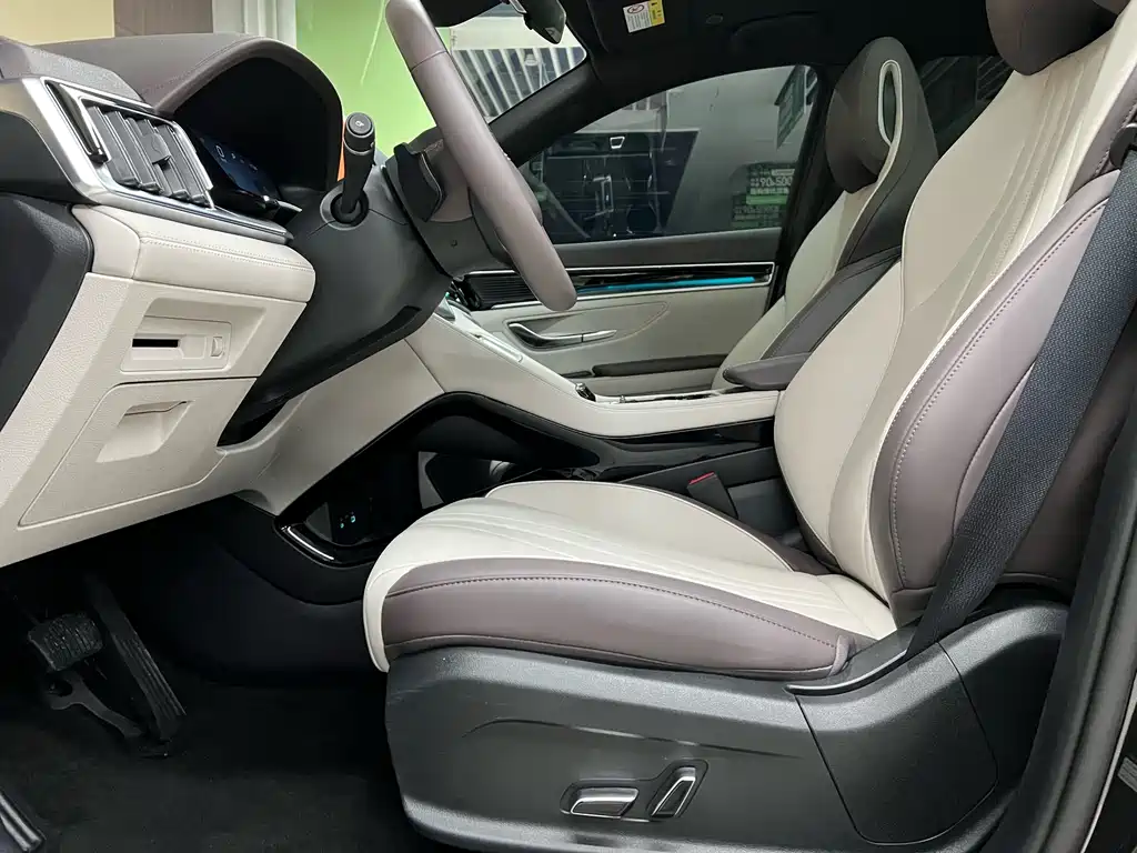 BYD SONGJIANG NEW ENERGY