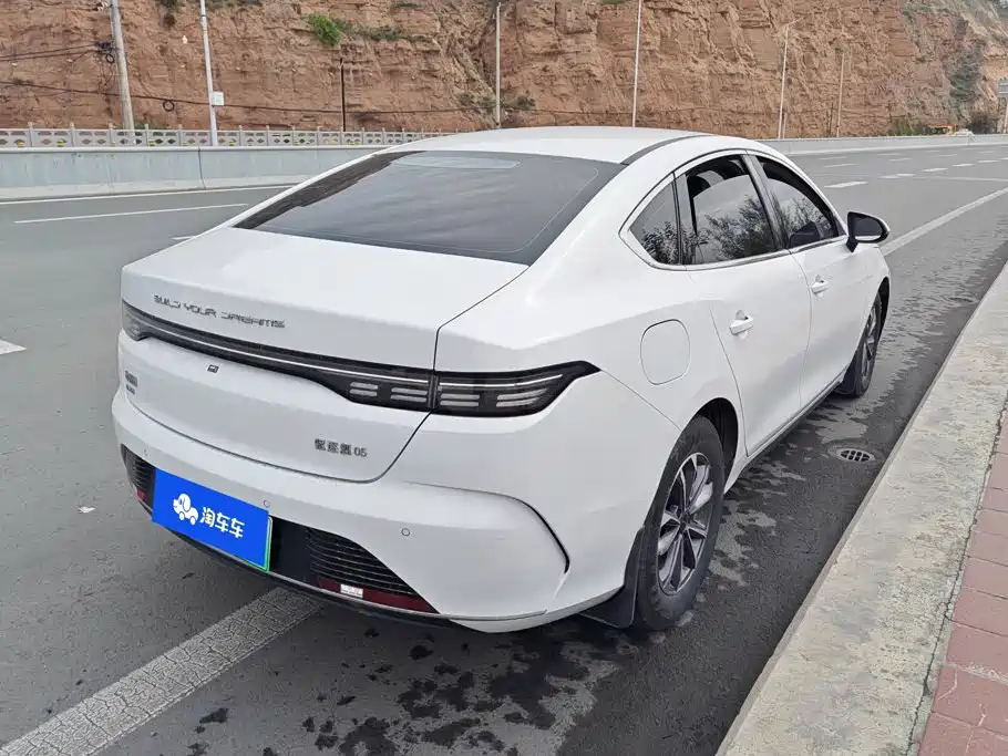 BYD Destroyer 05 — миниатюра 3