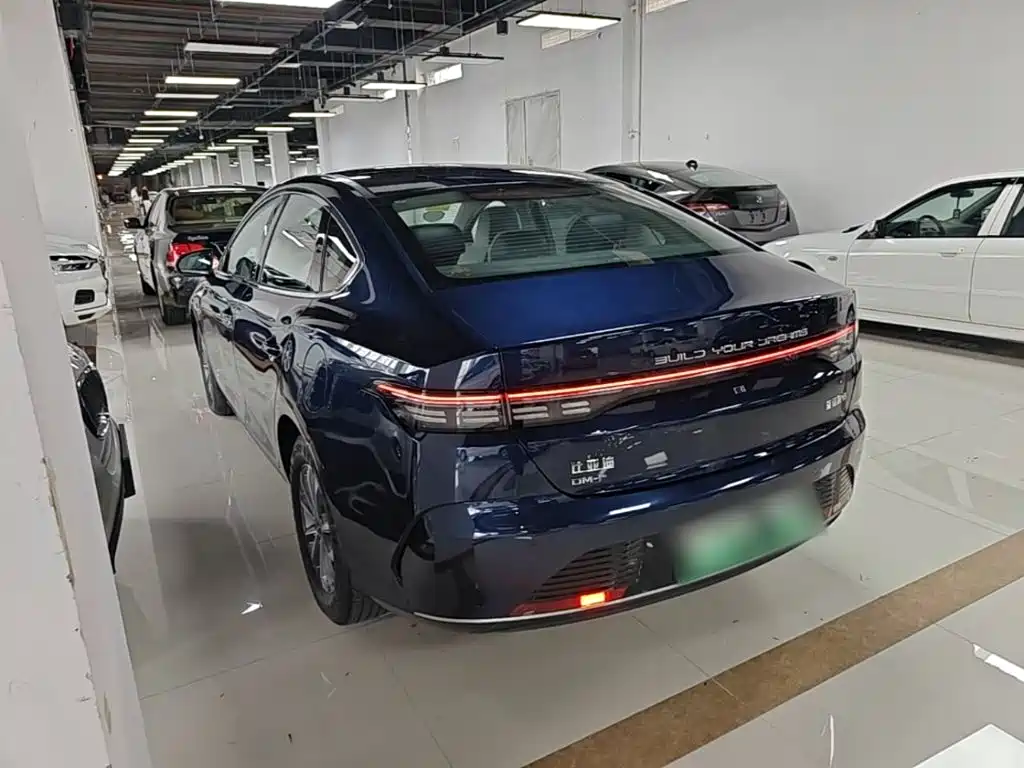 BYD Destroyer 05 2024 DM-i 55KM Luxury