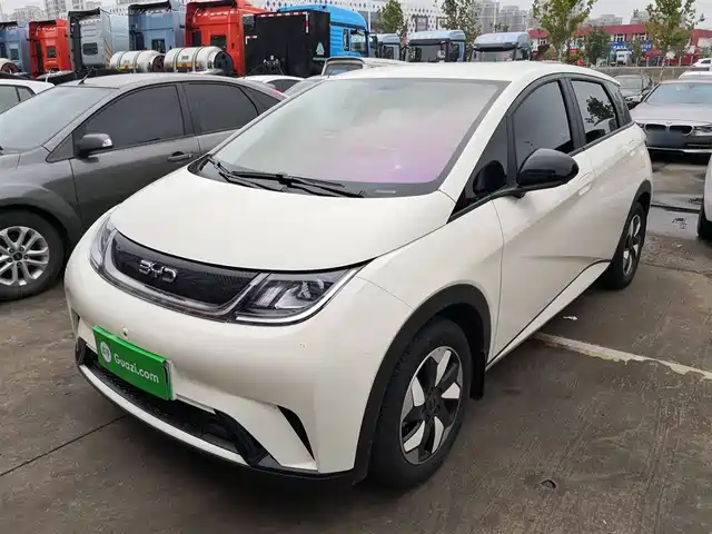 BYD DOLPHIN 2025