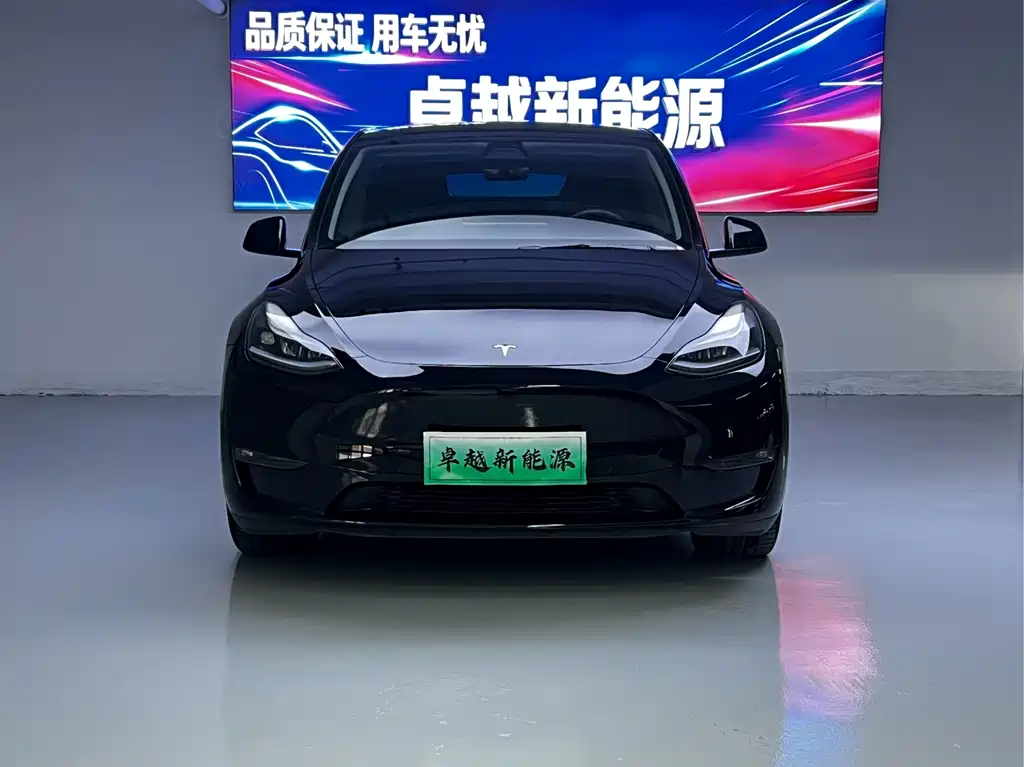 Tesla Model Y — миниатюра 2