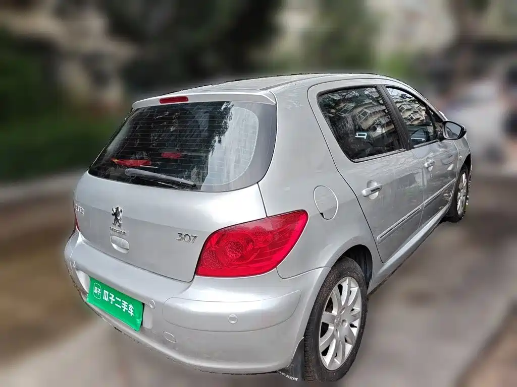 Peugeot 307 — миниатюра 4