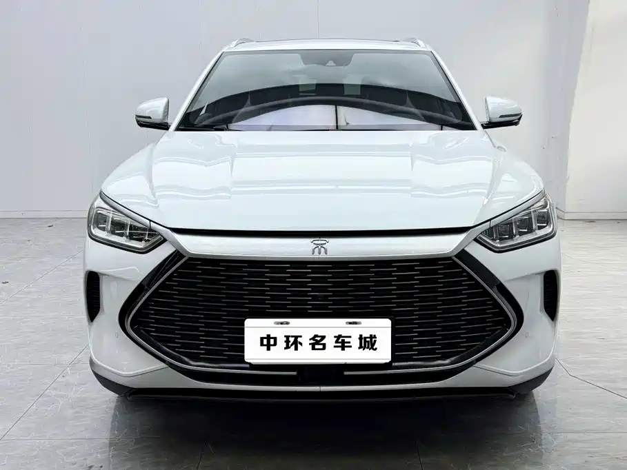 BYD PLUS New Energy — миниатюра 4