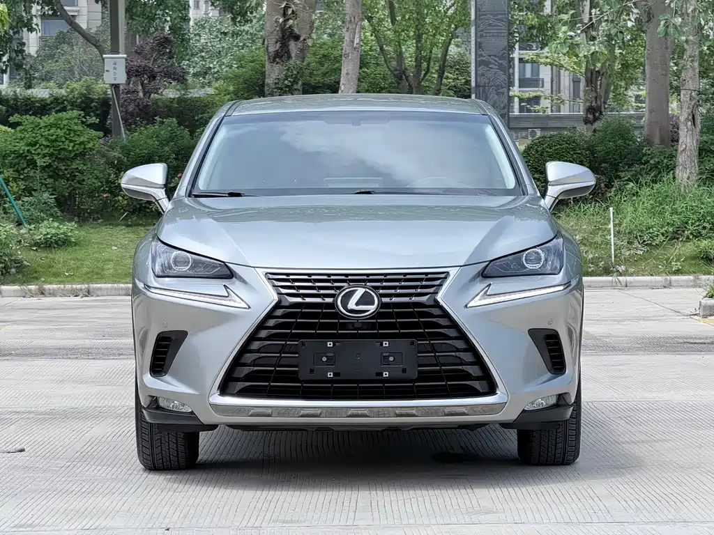Lexus NX 2018 200 V