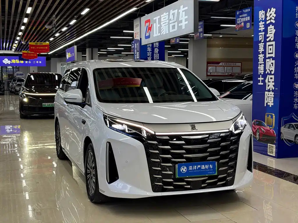 BYD Xia — миниатюра 3