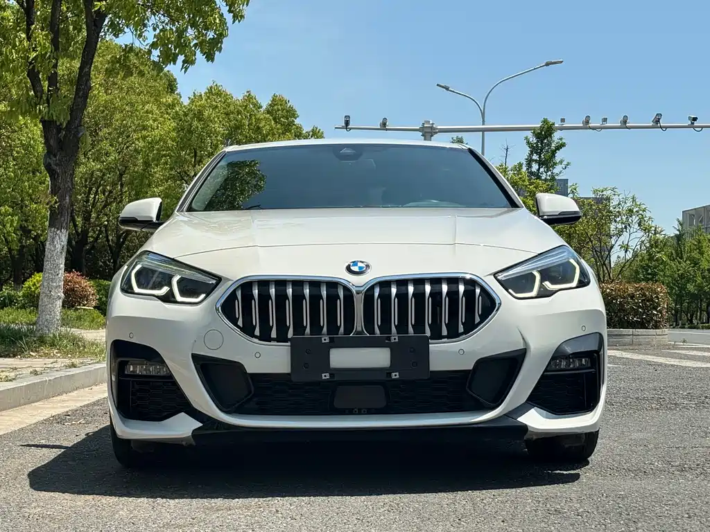 BMW 2 Series (Import) 225i 4-door Coupe M Sport Package, фото 4