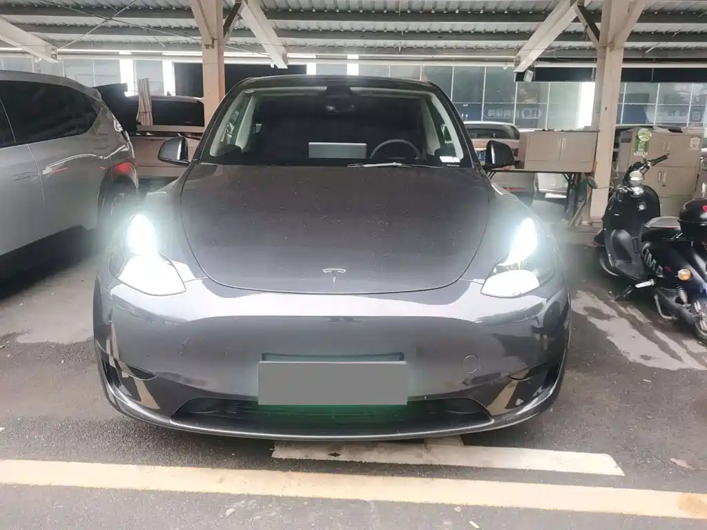 Tesla Model Y — миниатюра 2