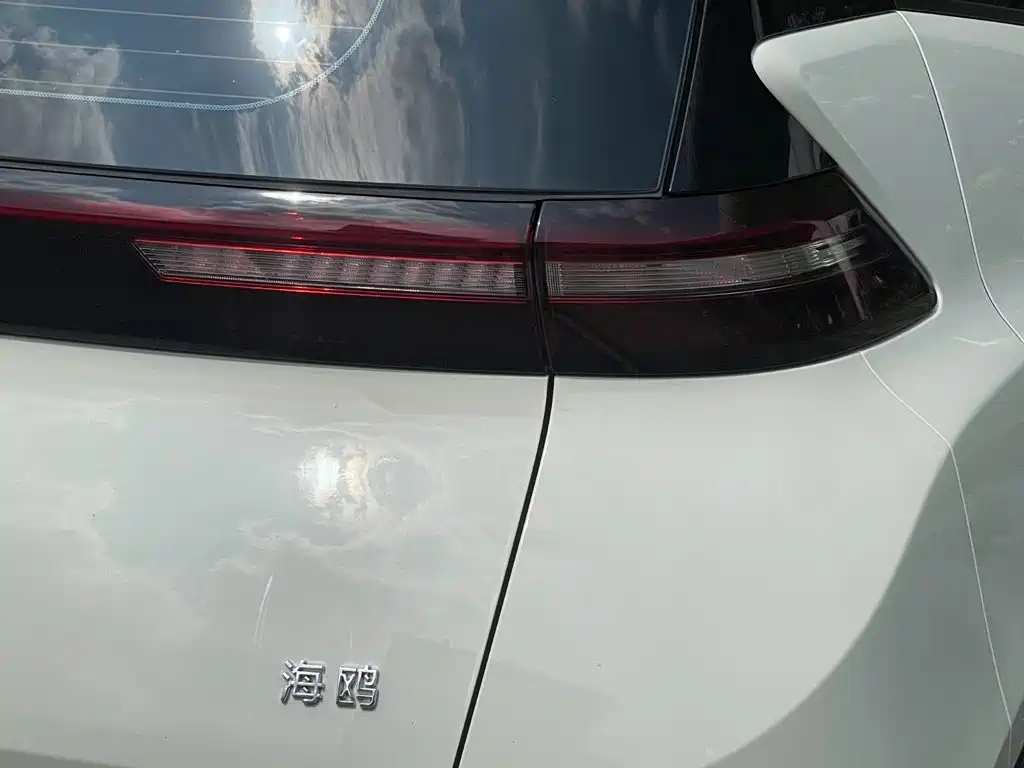 BYD Seagull — миниатюра 13