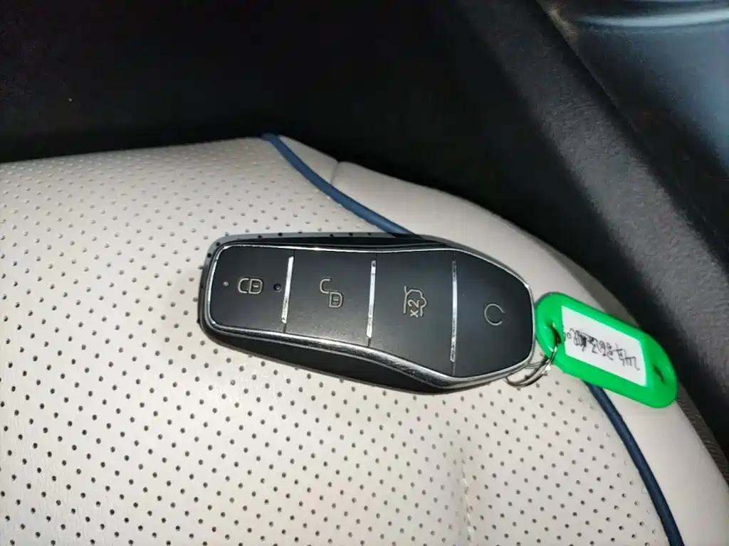 BYD Destroyer 05 2024 DM-i 55KM Luxury