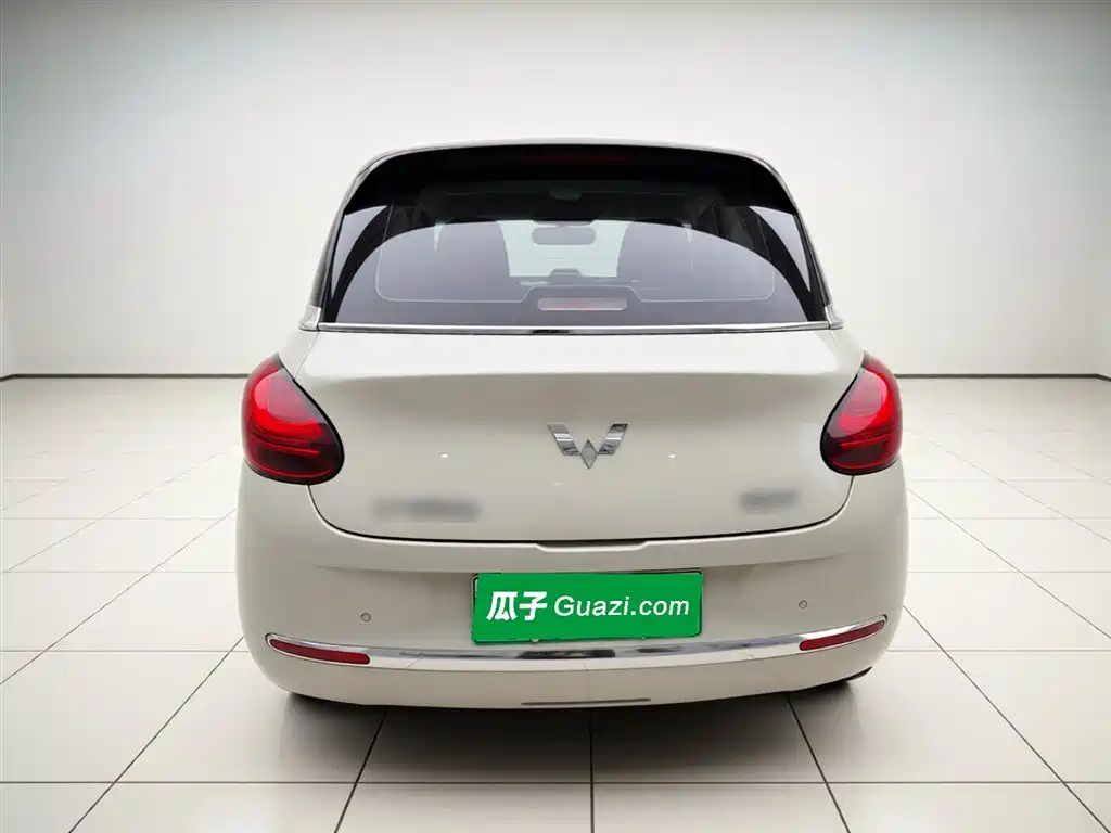 Wuling Binguo 2024 333km Enjoy