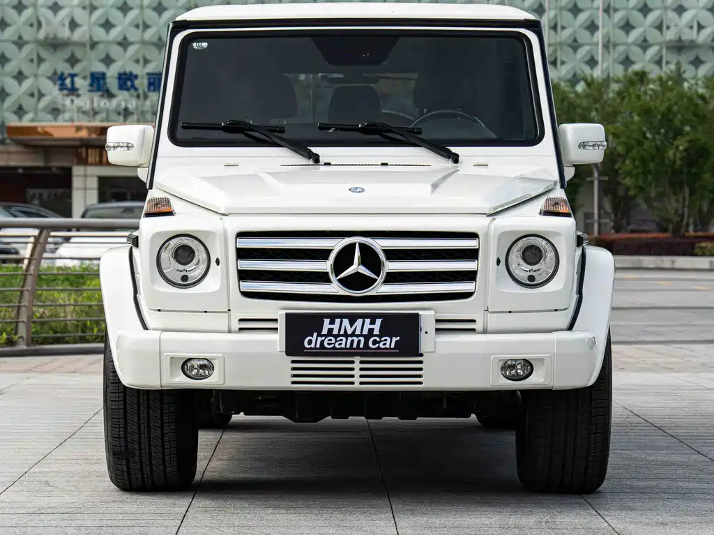 Mercedes-Benz G-Class A MG G AMG 2009 AMG G 55