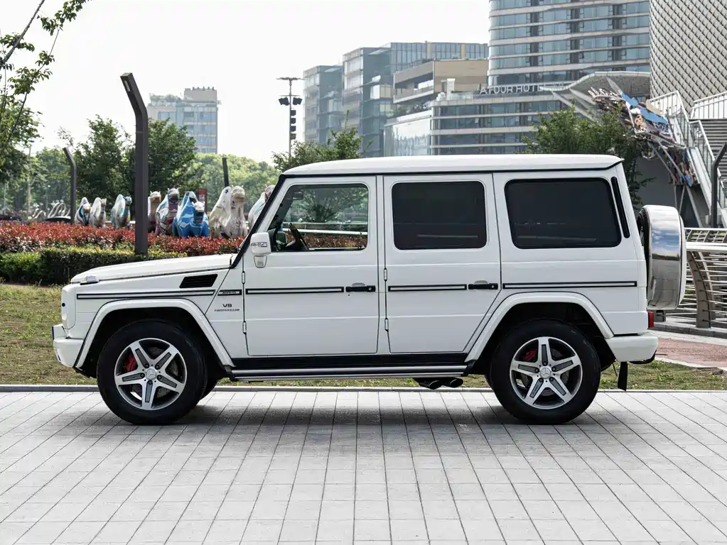 Mercedes-Benz G-Class A MG G AMG 2009 AMG G 55
