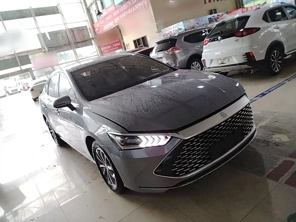 BYD Qin Plus PLUS 2024 DM-i 55KM Lead