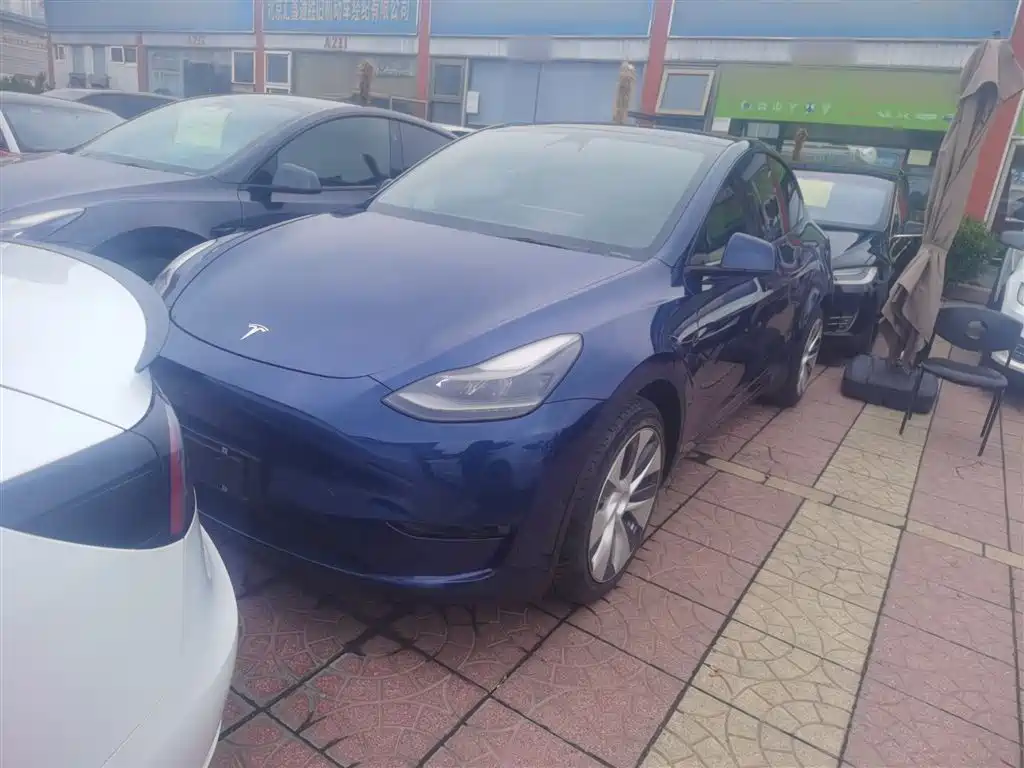 Tesla Model Y 2021