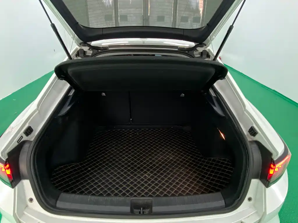 Volkswagen Lamando — миниатюра 18