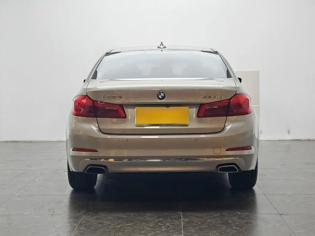 BMW 5 Series 5 2020 530Li Lead Luxury