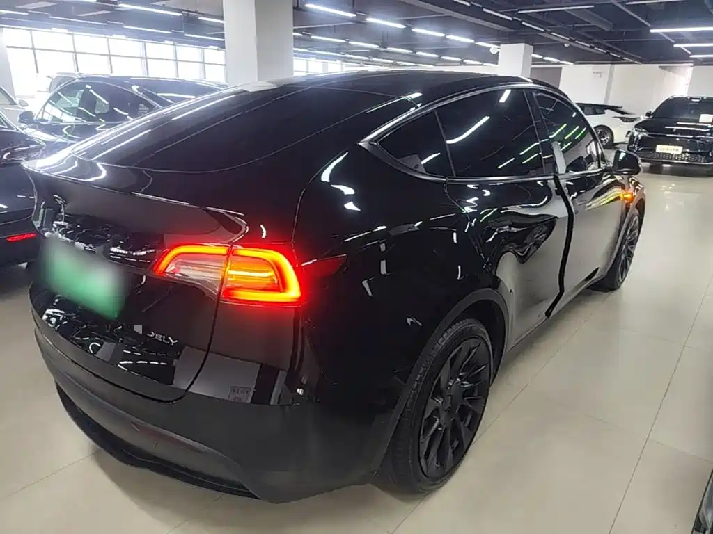 Tesla Model Y — миниатюра 7