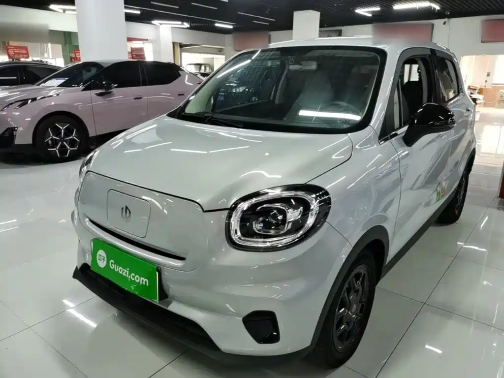 Leapmotor T03 2023 310