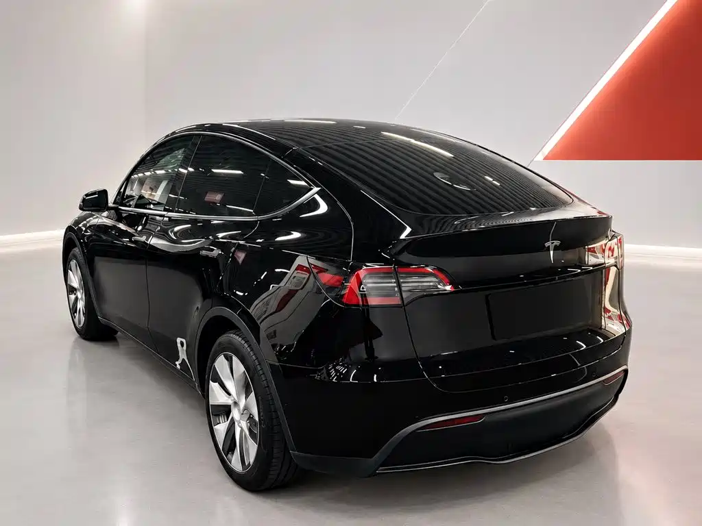 Tesla Model Y — миниатюра 4