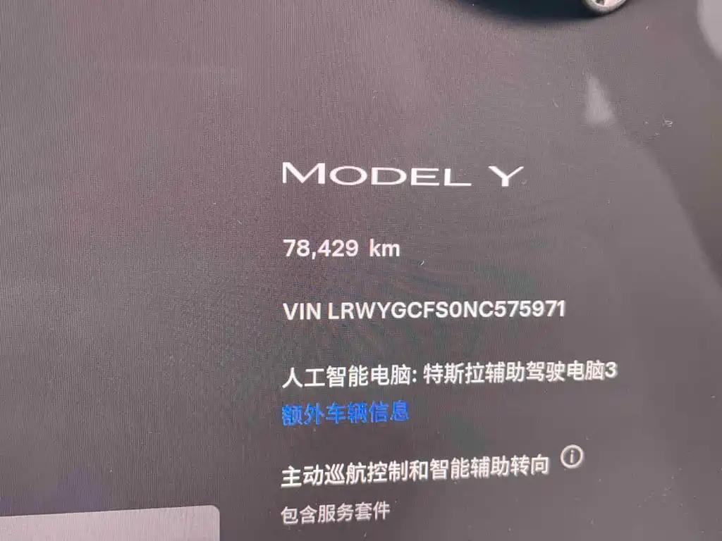 Tesla Model Y — миниатюра 10