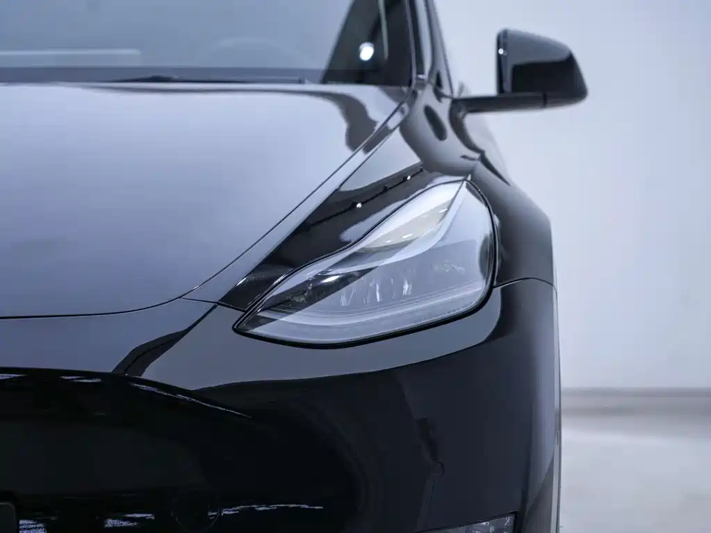 Tesla Model Y — миниатюра 9