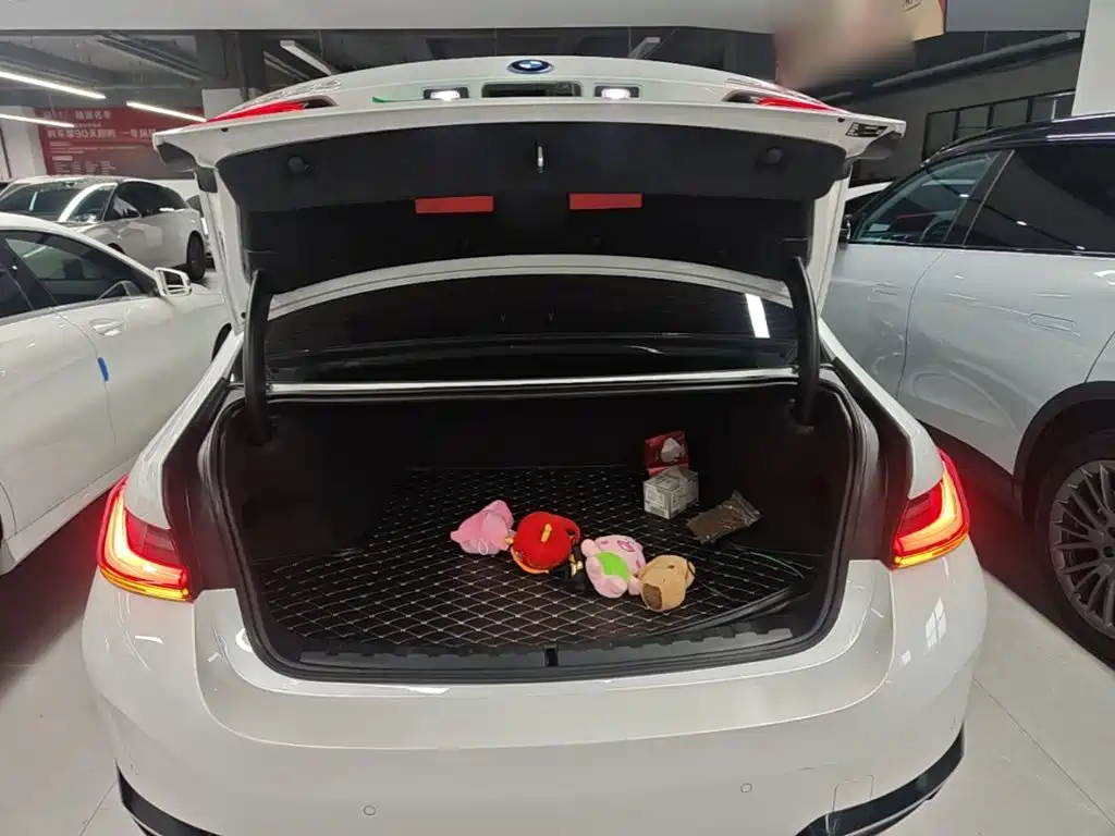 BMW i3 — миниатюра 19