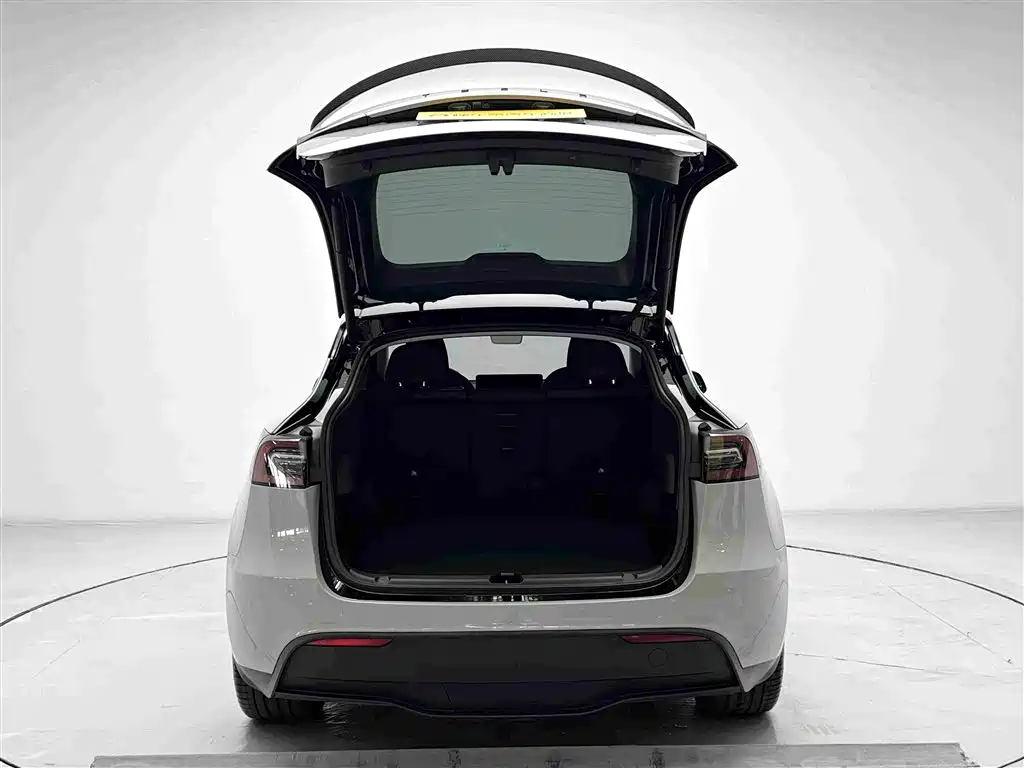Tesla Model Y — миниатюра 15