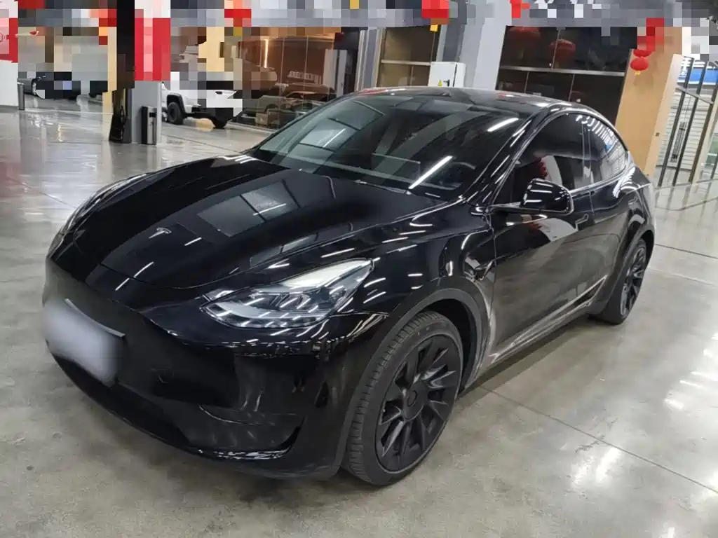 Tesla Model Y — миниатюра 2