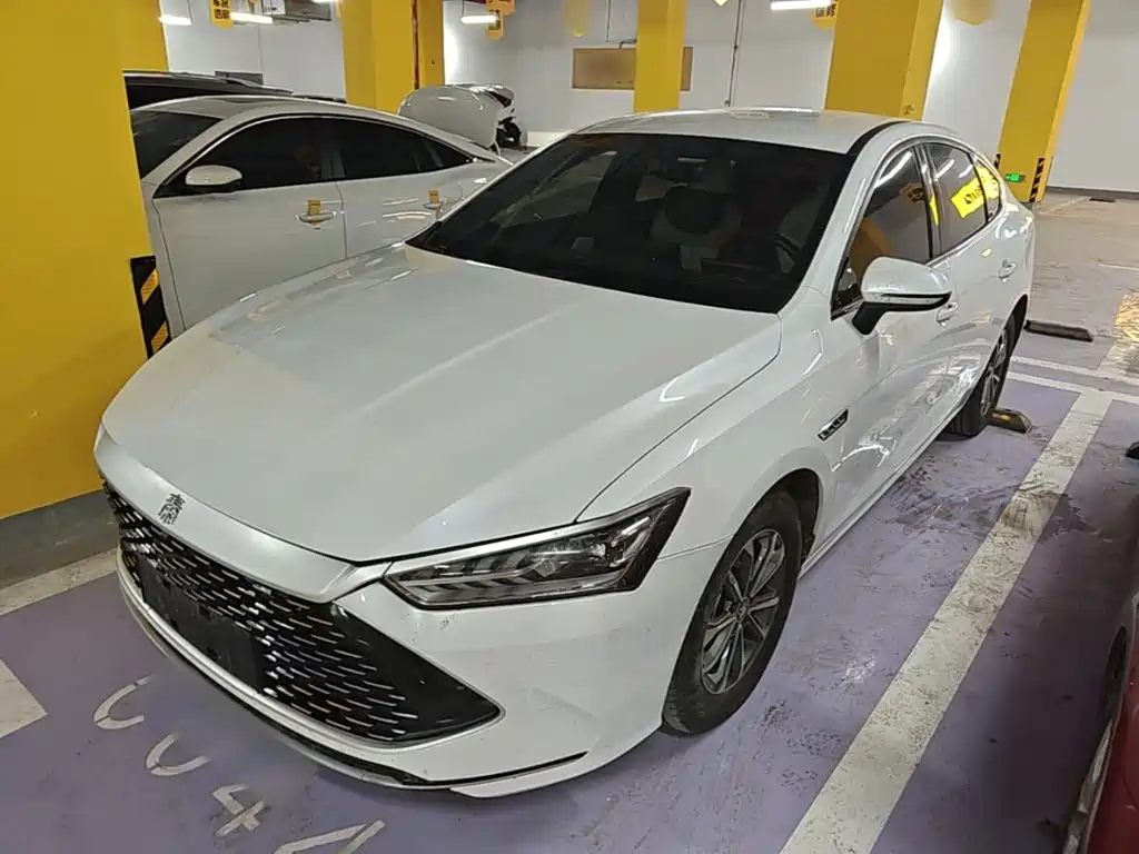 BYD Qin Plus PLUS 2024 DM-i 55KM Lead