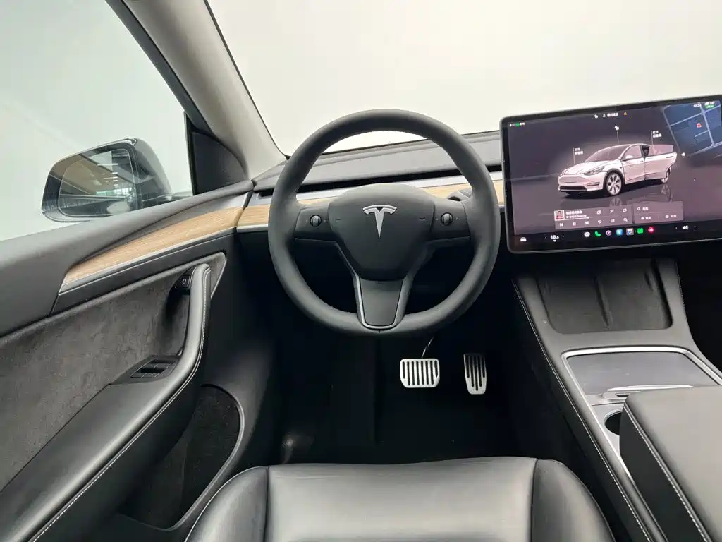 Tesla Model Y — миниатюра 18