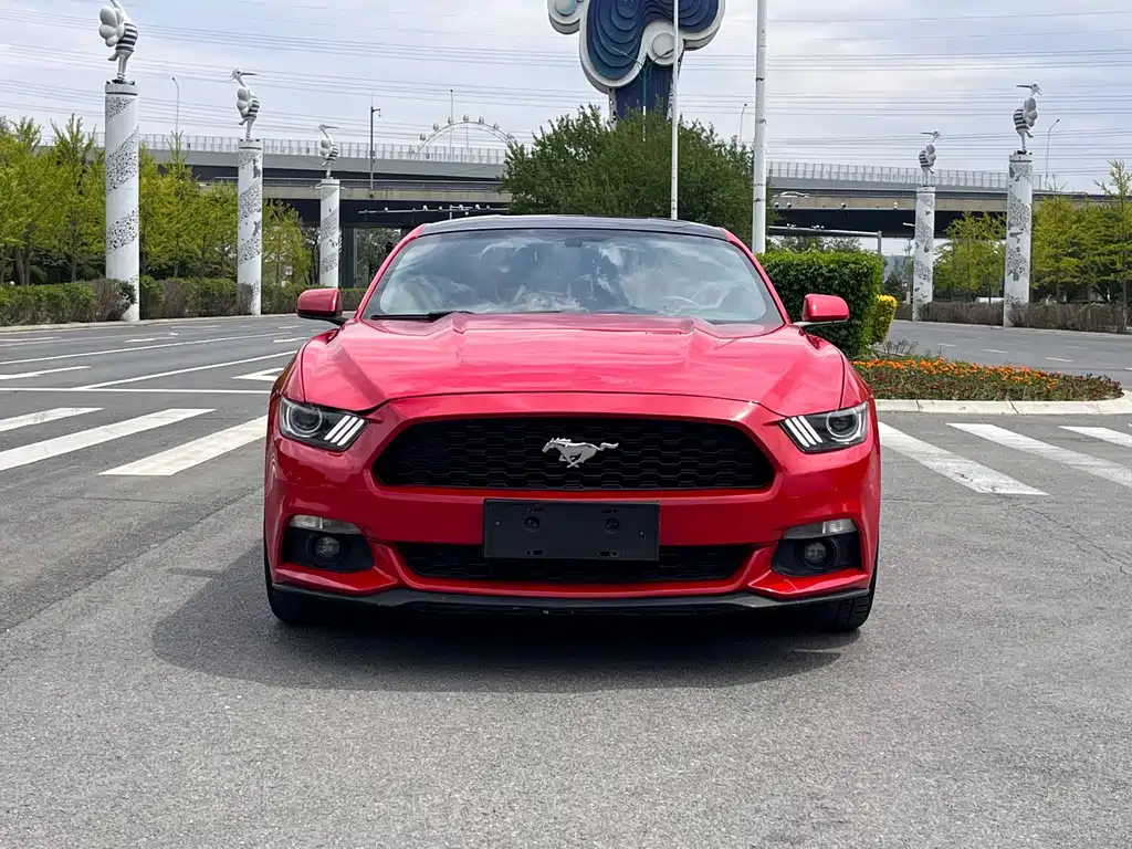 Ford Mustang — миниатюра 2