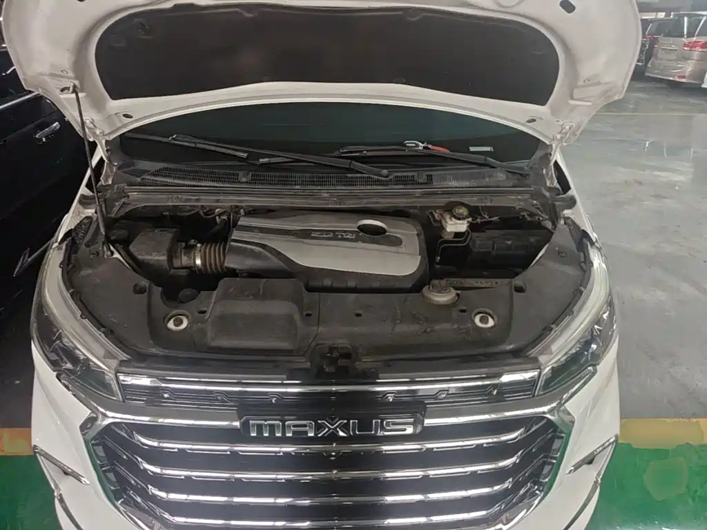 MAXUS G20 — миниатюра 20