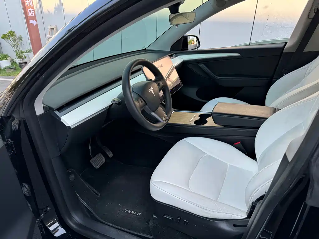 Tesla Model Y — миниатюра 7