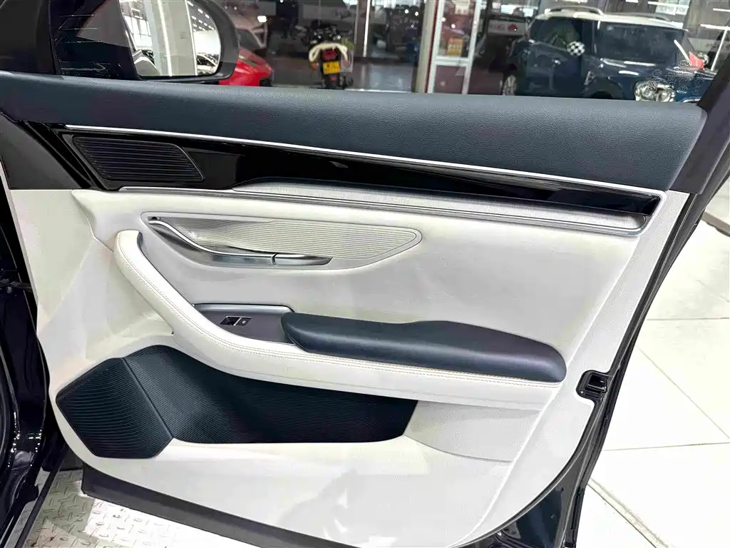 BYD PLUS New Energy — миниатюра 31