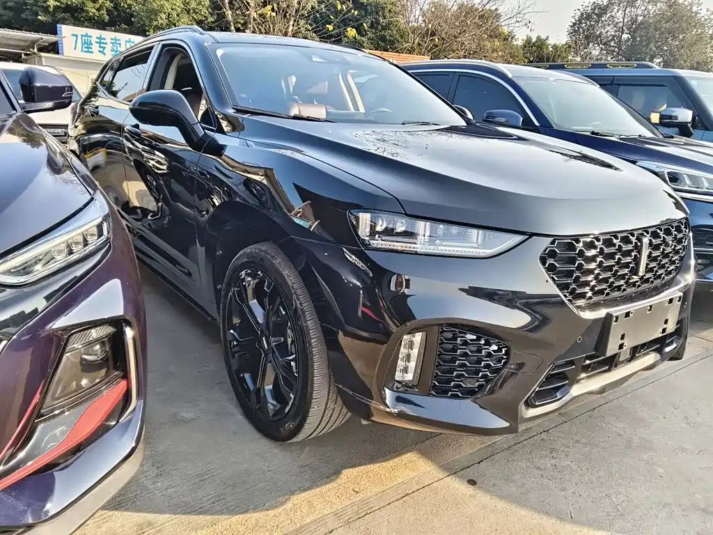 WEI PAI WEI BRAND VV7