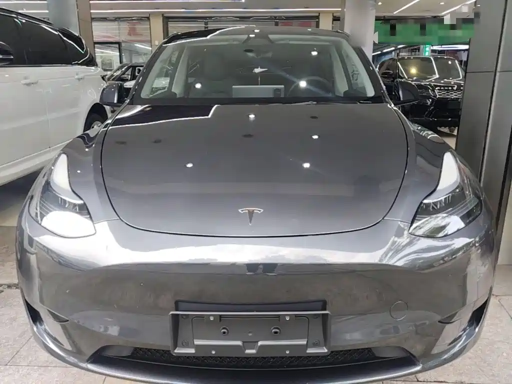 Tesla Model Y — миниатюра 3
