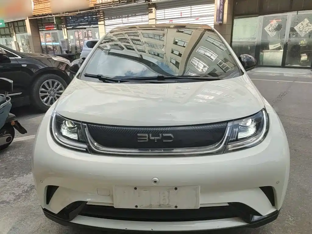 BYD Dolphin — миниатюра 3